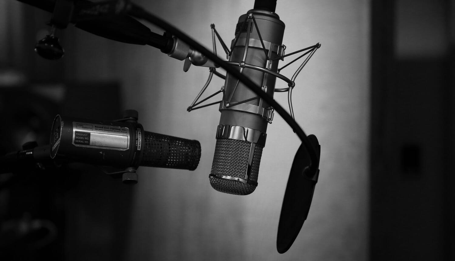 Voiceit.us